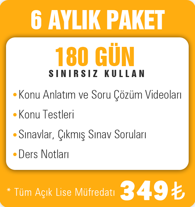 6 Aylık Online Eğitim